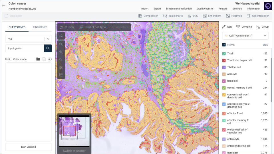 Dive with Visium HD: Uncover Spatial Cell Communication at Single-Cell ...