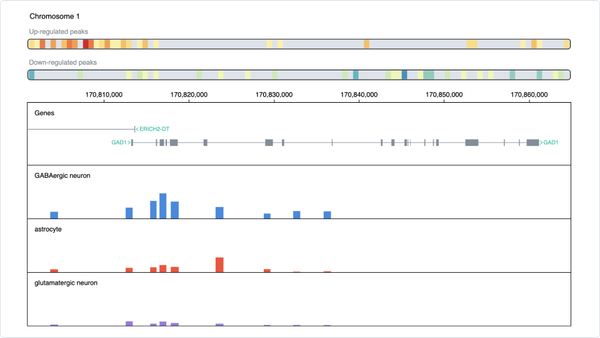 Uncovering Alzheimer’s Chromatin Accessibility: scATAC-seq Data Re-analysis with OmnibusX