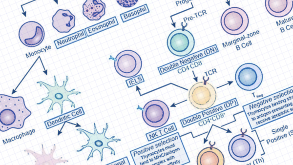 Cell Type Prediction: A Review of Current Approaches and Emerging Challenges - OmnibusX